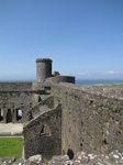 SX29130 Harlech Castle walls.jpg